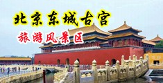 黄污美女网站在线观看www中国北京-东城古宫旅游风景区