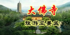 免费看黄视频美女,的逼逼中国浙江-新昌大佛寺旅游风景区